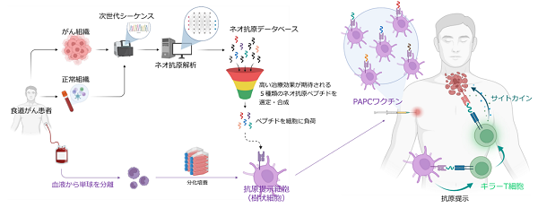 【タイトル】