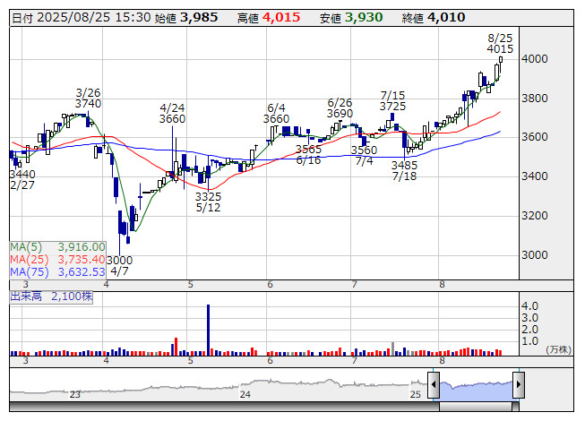 商談中【引取希望】群生大株 ハラン株 ひとかたまり20本程度 葉蘭株